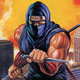 A ninja brandishes his blades in front of a burning city skyline.